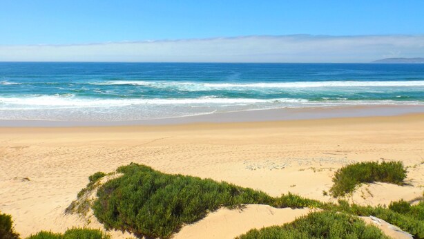 Une plage avec un ciel dégagé, des vagues et des dunes de sable couvertes de végétation.