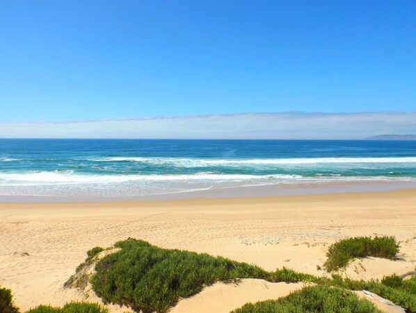 Vista desde la propiedad