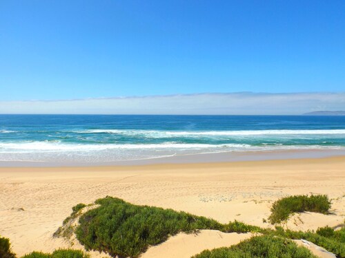 The Dunes Resort & Hotel