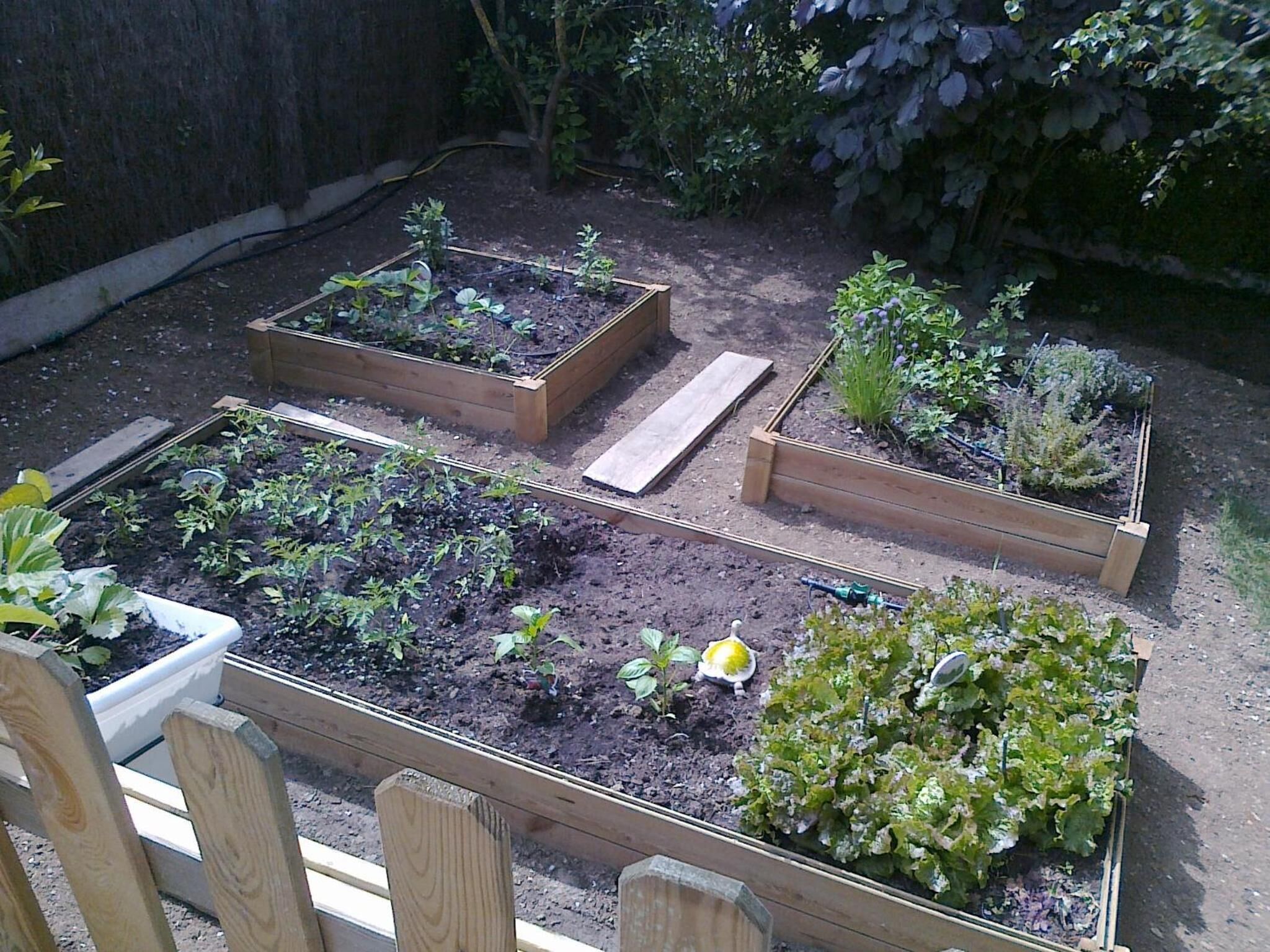 Un jardin avec des plates-bandes surélevées où sont plantées différentes espèces.