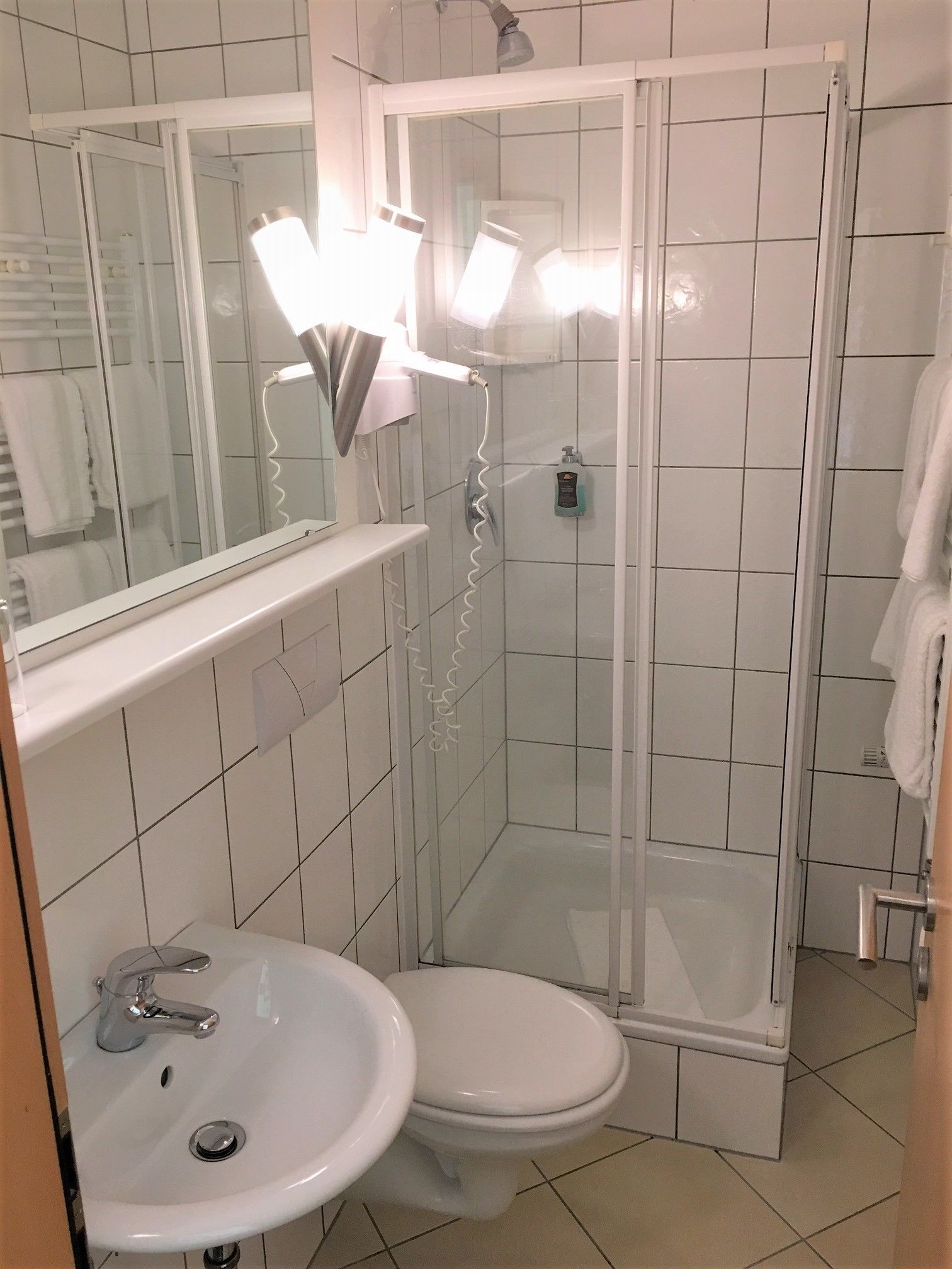 Une salle de bain avec douche, toilettes et lavabo.