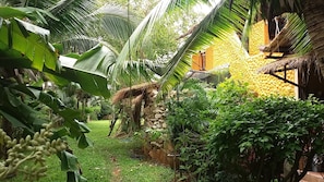 Un exuberante jardín con una estructura de techo de paja, un muro de piedra y follaje denso.