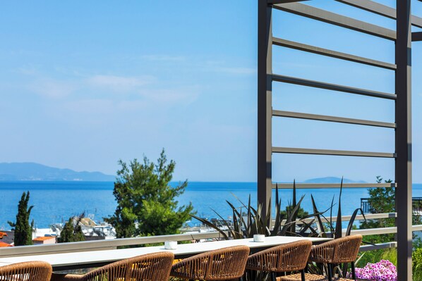 View from property - Hotel Vozina (Polygyros)