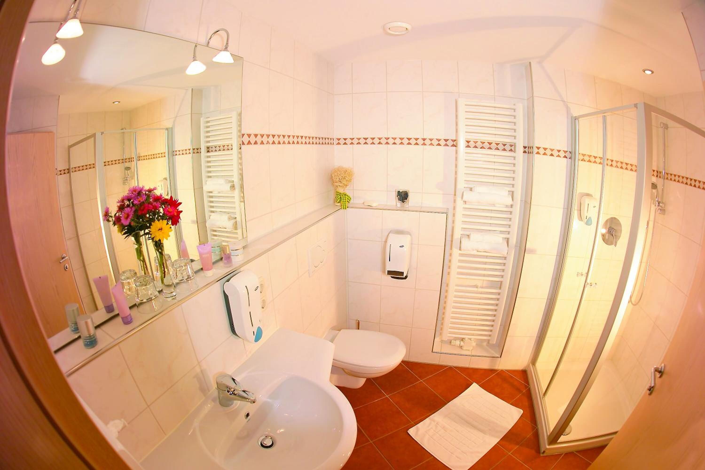 shower, free toiletries, hair dryer, towels