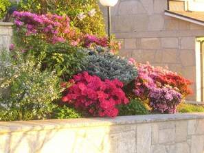 Property grounds - Hotel Chola (Cerdedo-Cotobade)