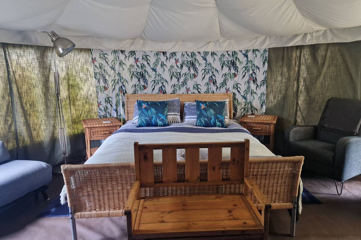Une pièce aménagée avec une tente, un lit, deux chaises en bois, une table de chevet et une chaise.
