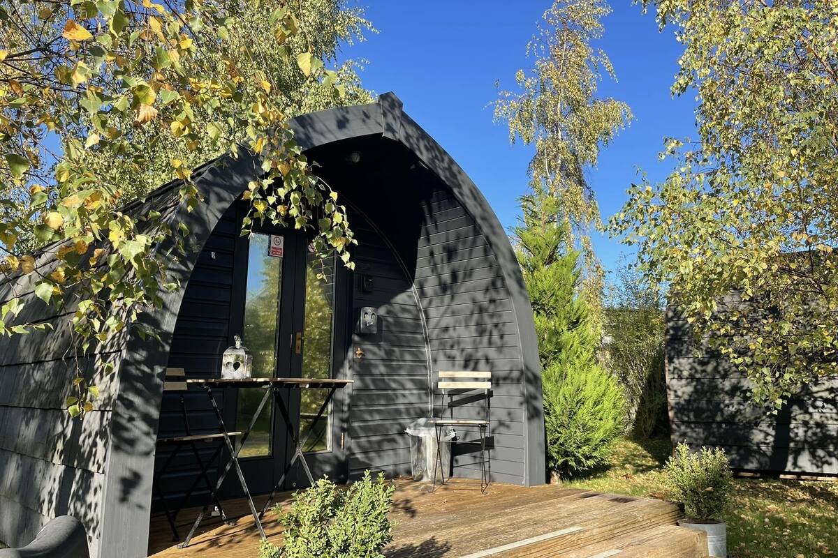 Une structure moderne en bois aux lignes courbes, avec une petite table et une chaise à l’extérieur, entourée d’arbres et de verdure.