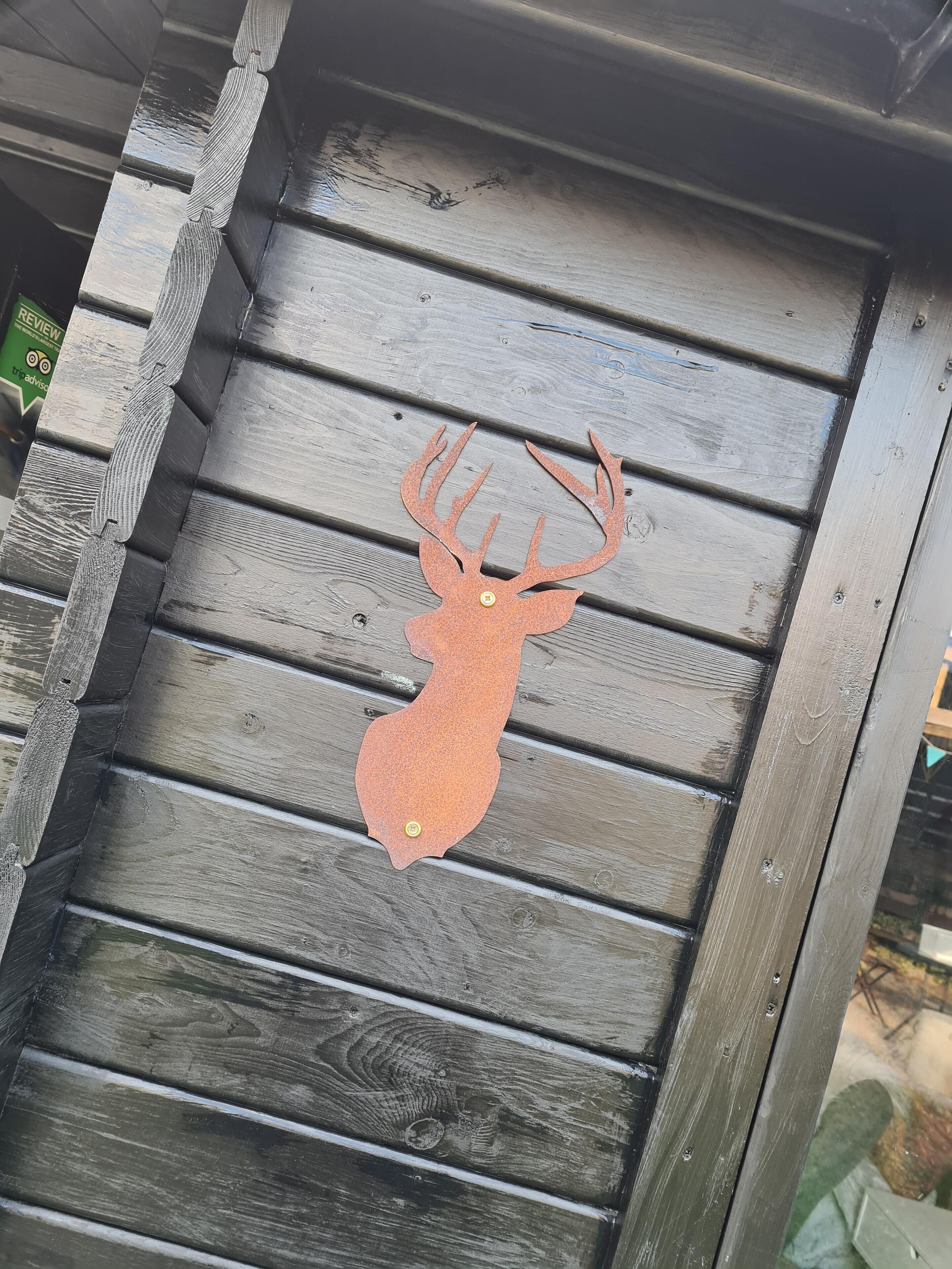 A wooden door with a deer head decoration.