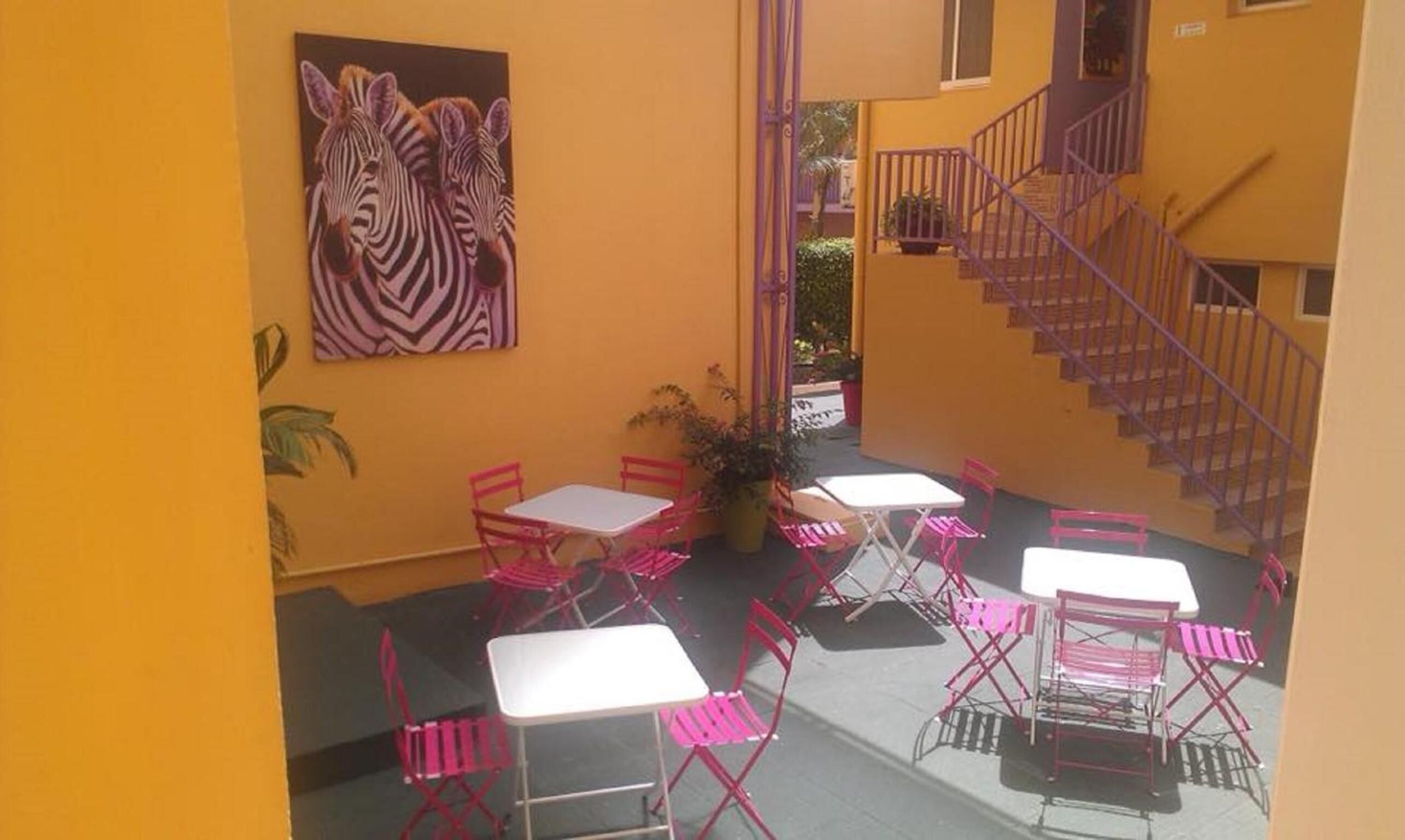 Se sirven desayunos, almuerzos y cenas; cocina local e internacional