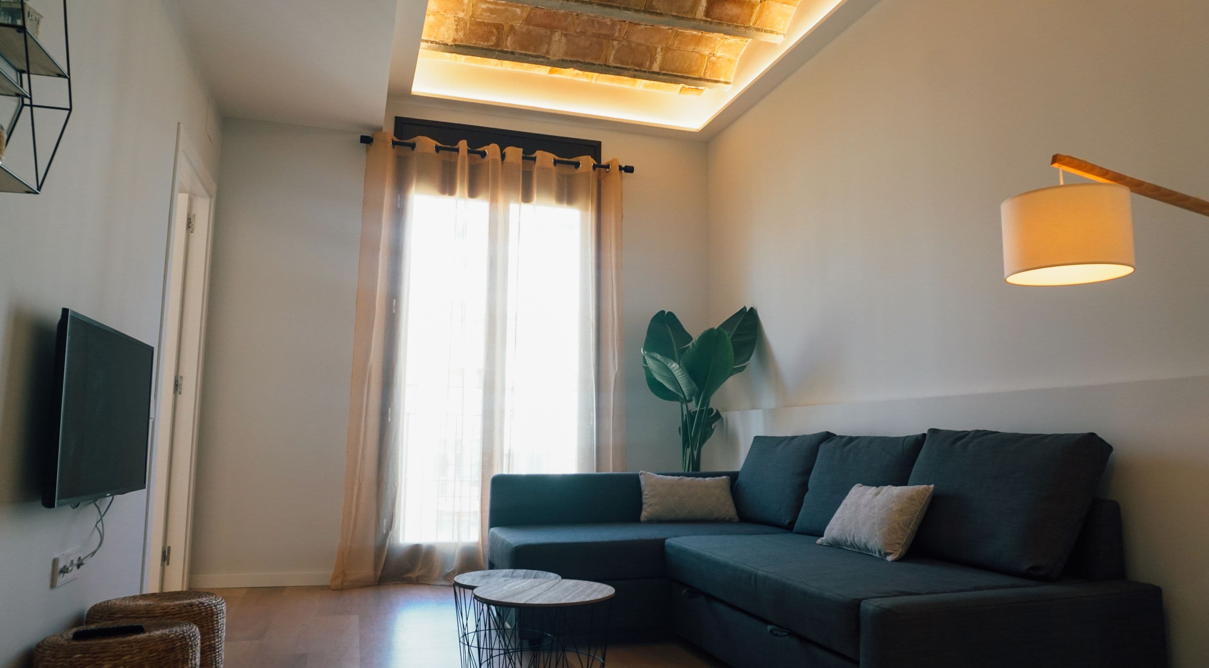 A modern living room with a sectional sofa, a small round table, a large plant, and a flat-screen TV mounted on the wall.