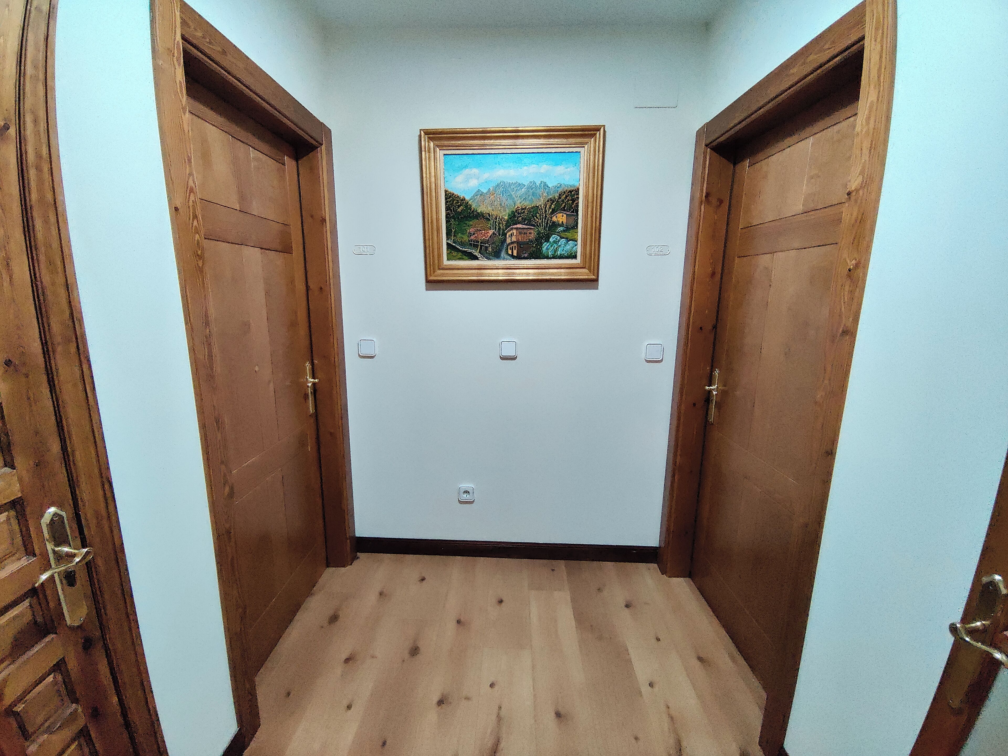 A narrow hallway with wooden doors on either side and a framed painting on the wall.