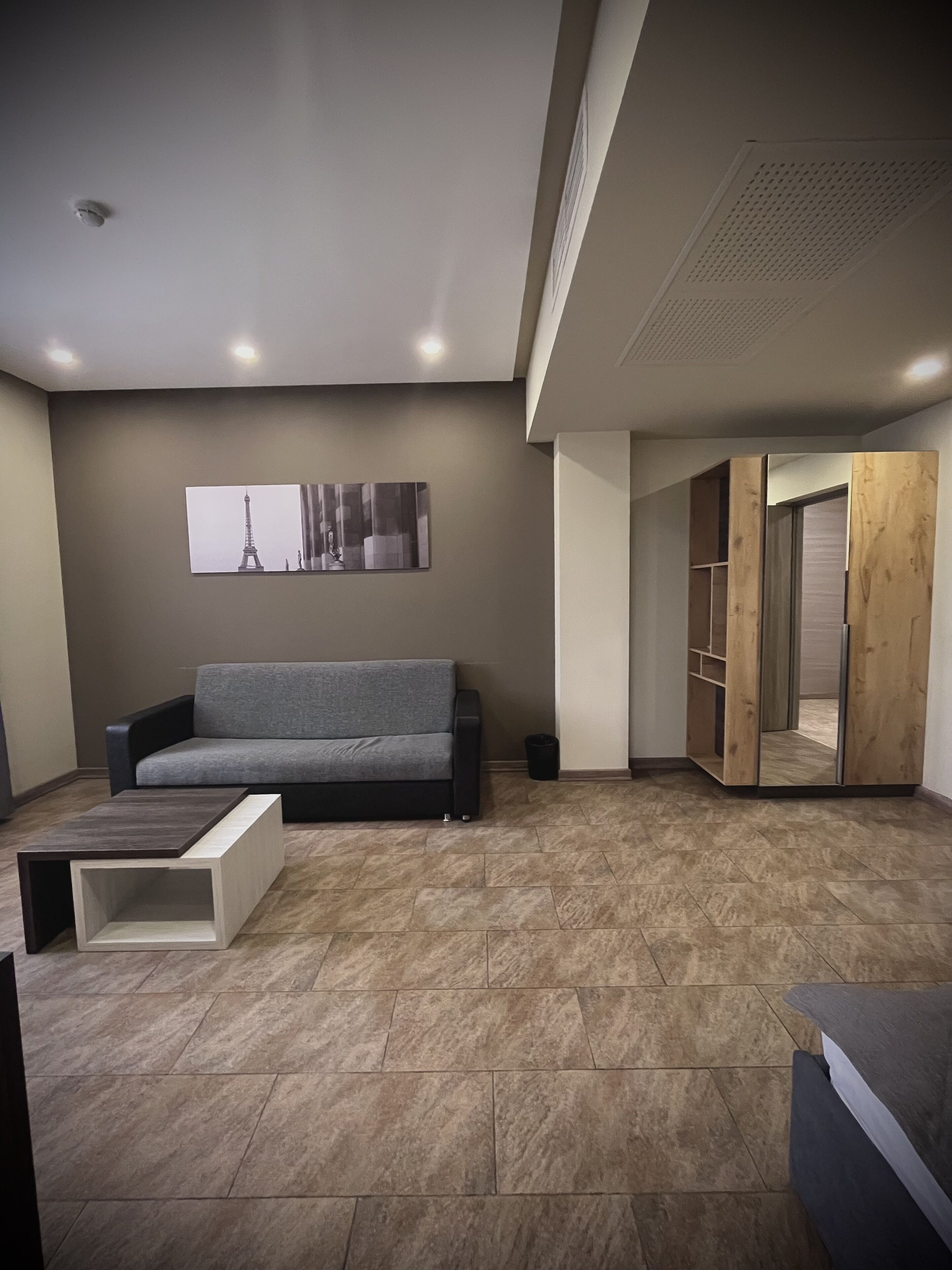 deluxe double room | living area | flat-screen tv