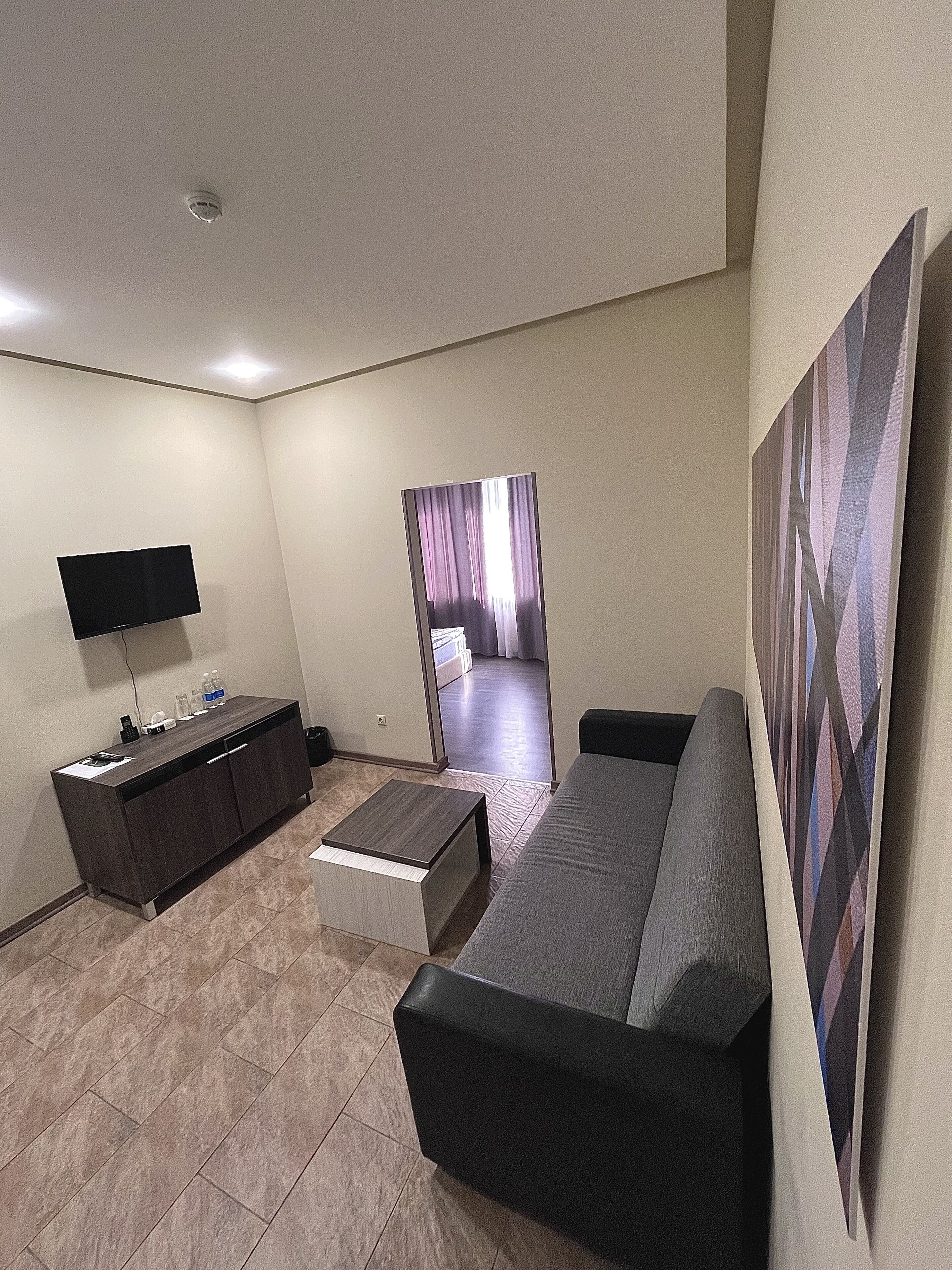 deluxe double room | living area | flat-screen tv
