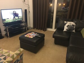 Flat-screen TV