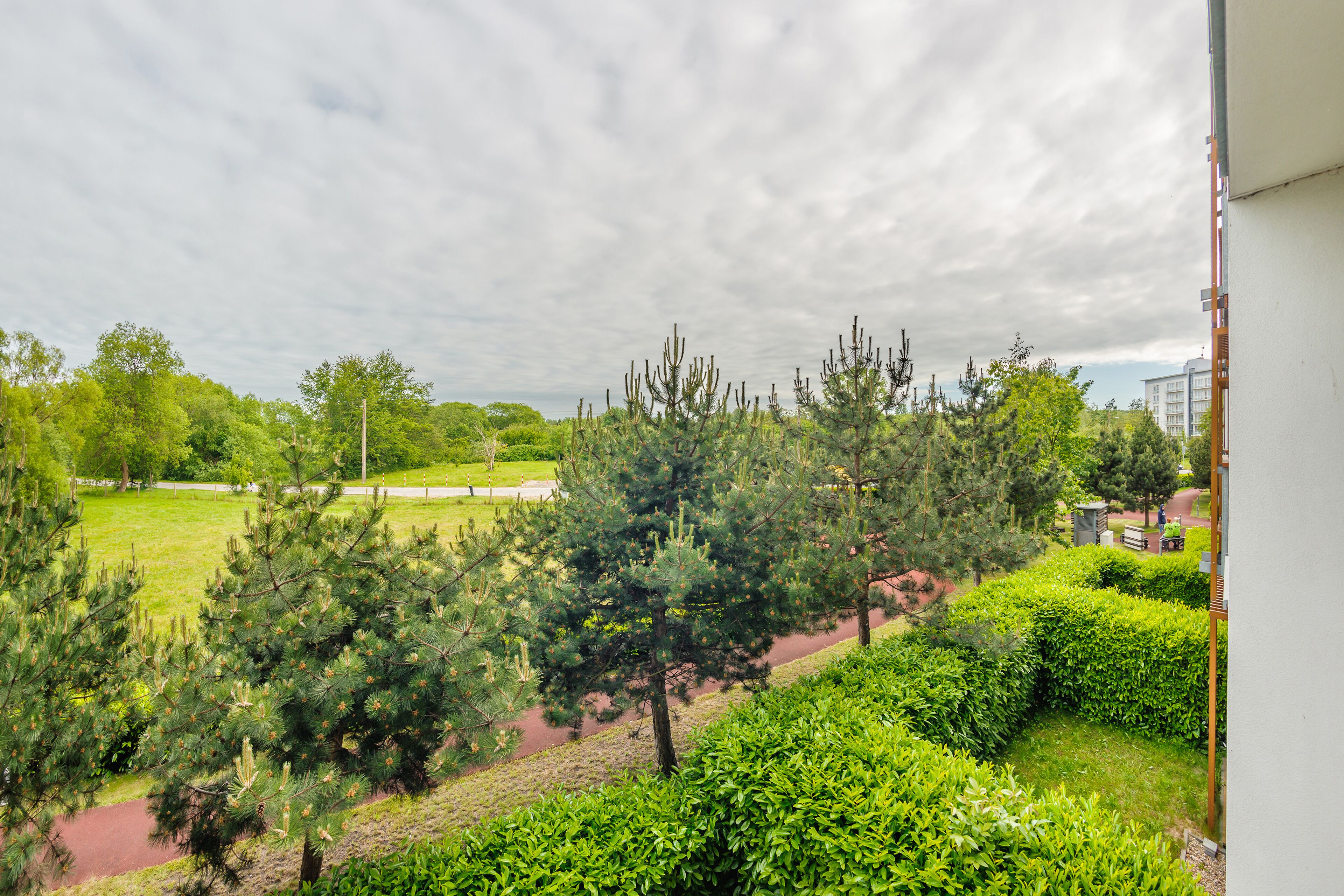 Une vue d’un jardin aménagé, avec différents arbres et arbustes, un sentier et un bâtiment en arrière-plan.
