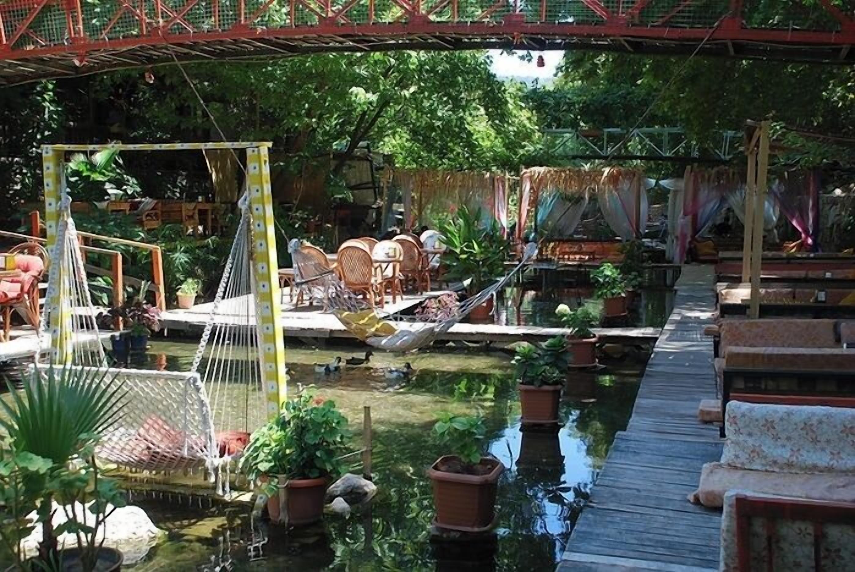 Télévision LED, imprimantes