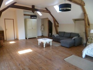 Deluxe Suite | Living room