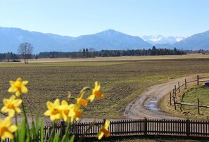 Appartement, balcon (Sonnenblume) | Vue de la chambre