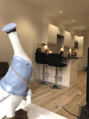Appartement, 1 chambre | Cuisine privée | Réfrigérateur, four, plaque de cuisson, bouilloire électrique