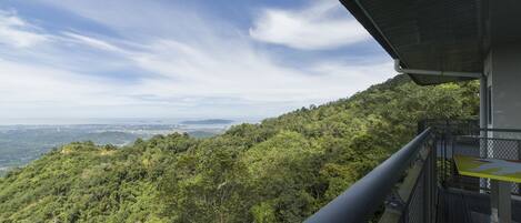 Un balcón con vistas a una ladera verde y exuberante y un paisaje urbano distante.