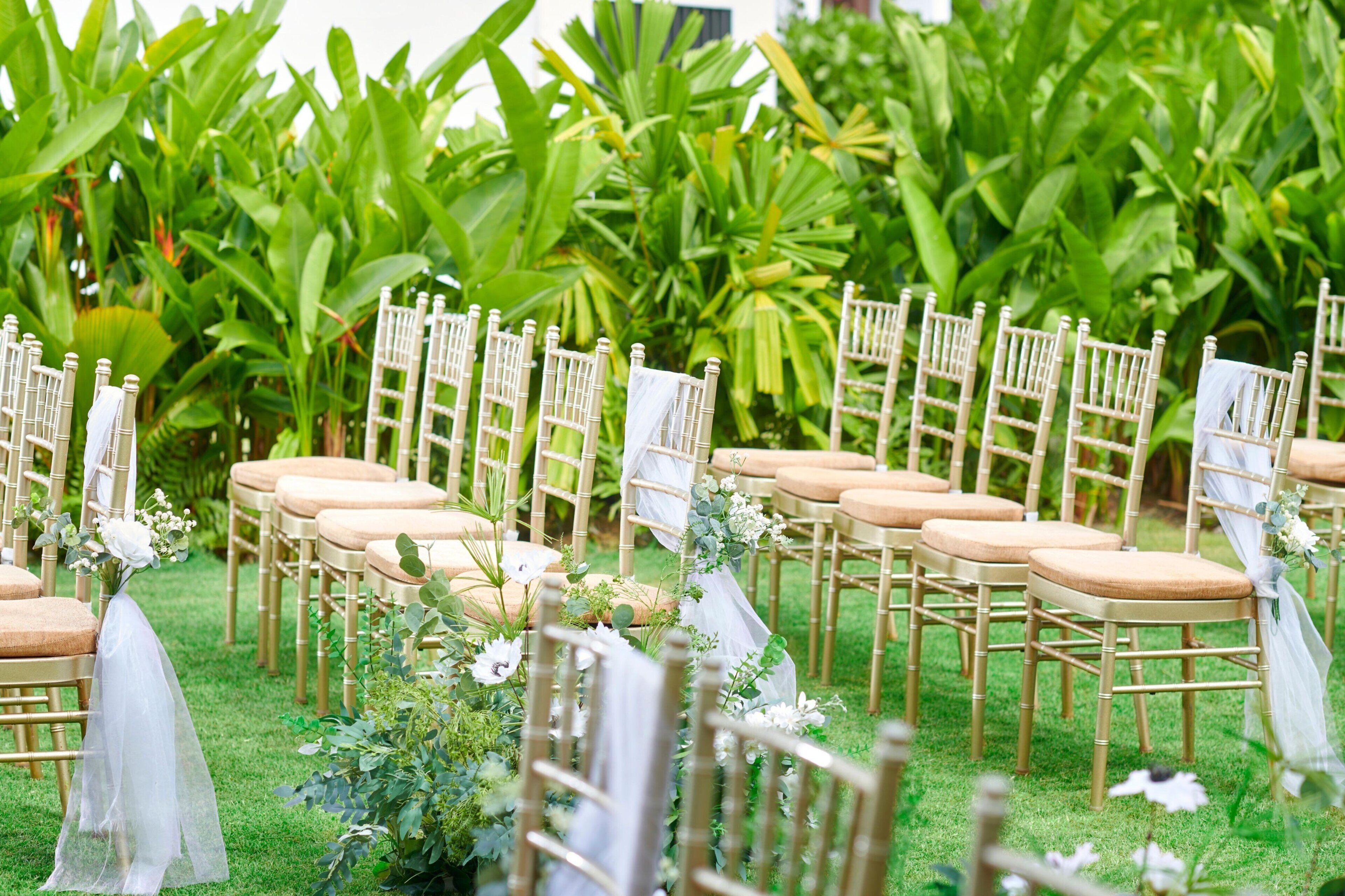 Rows of wooden chairs with cushioned seats and backrests, arranged in a line on a grassy area.