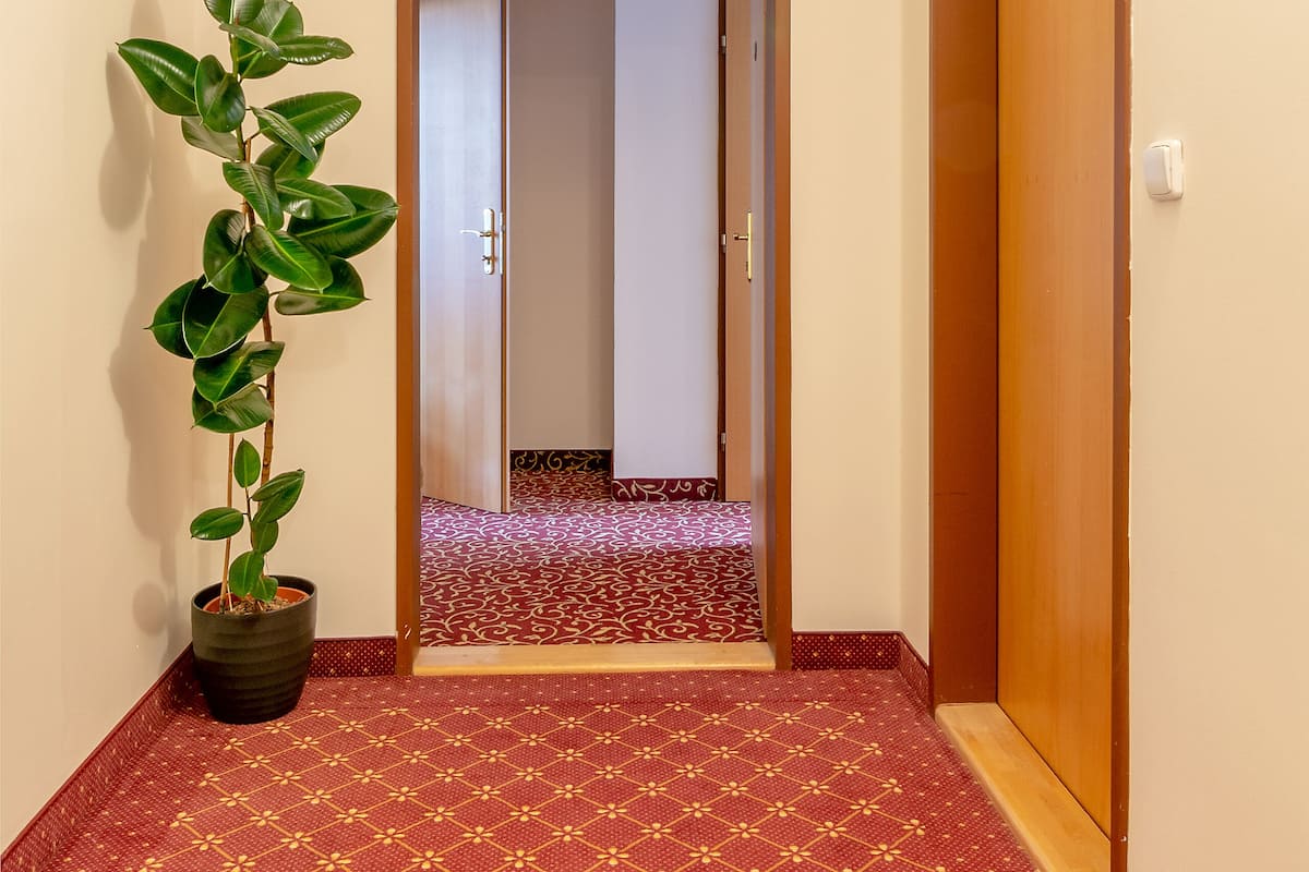 A hallway with a patterned carpet, a potted plant, and a wooden door.