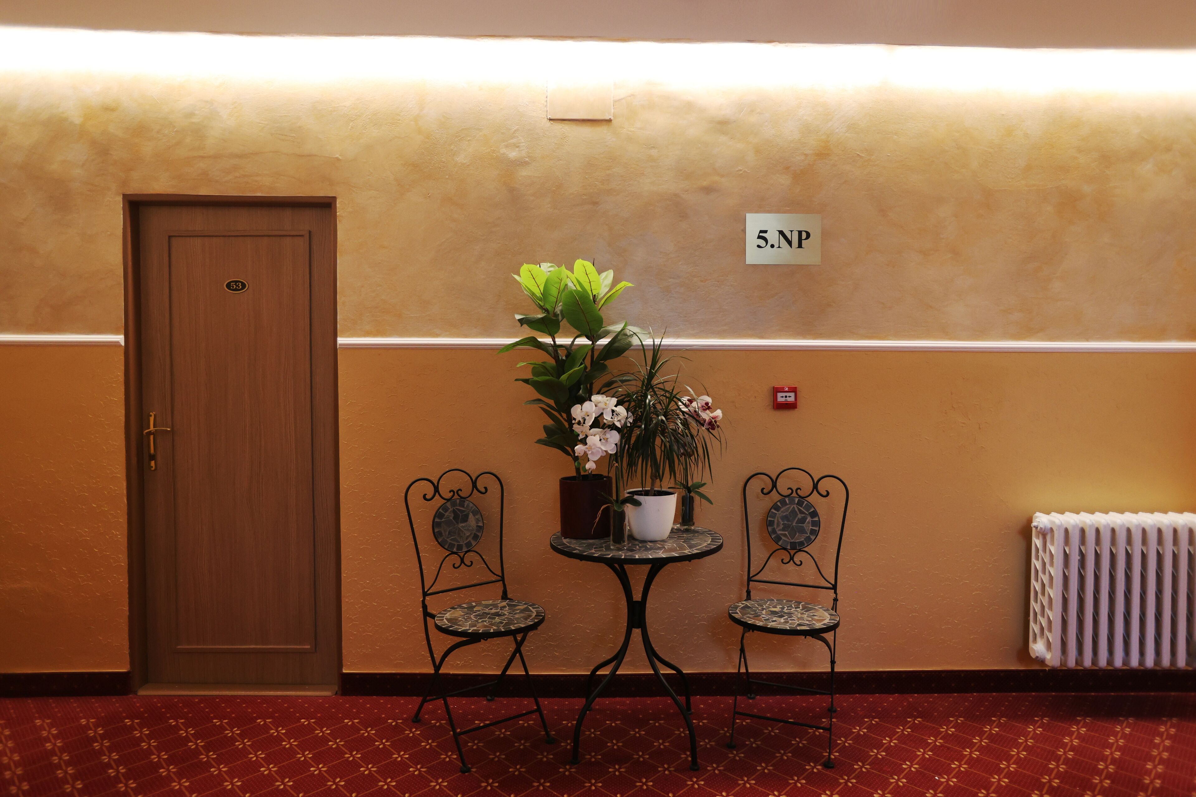 A room with a wooden door, a small table with two chairs, a potted plant, and a radiator.