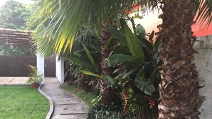 Courtyard - Casa Mexico-Cuba (Tuxpan)
