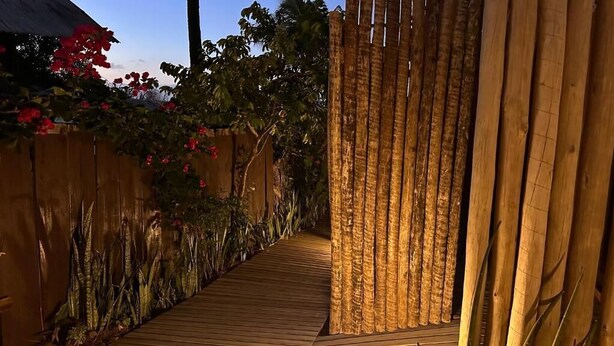 Un sentier en bois mène à une maison à toit de chaume, entourée d’une végétation luxuriante et d’une clôture en bambou.
