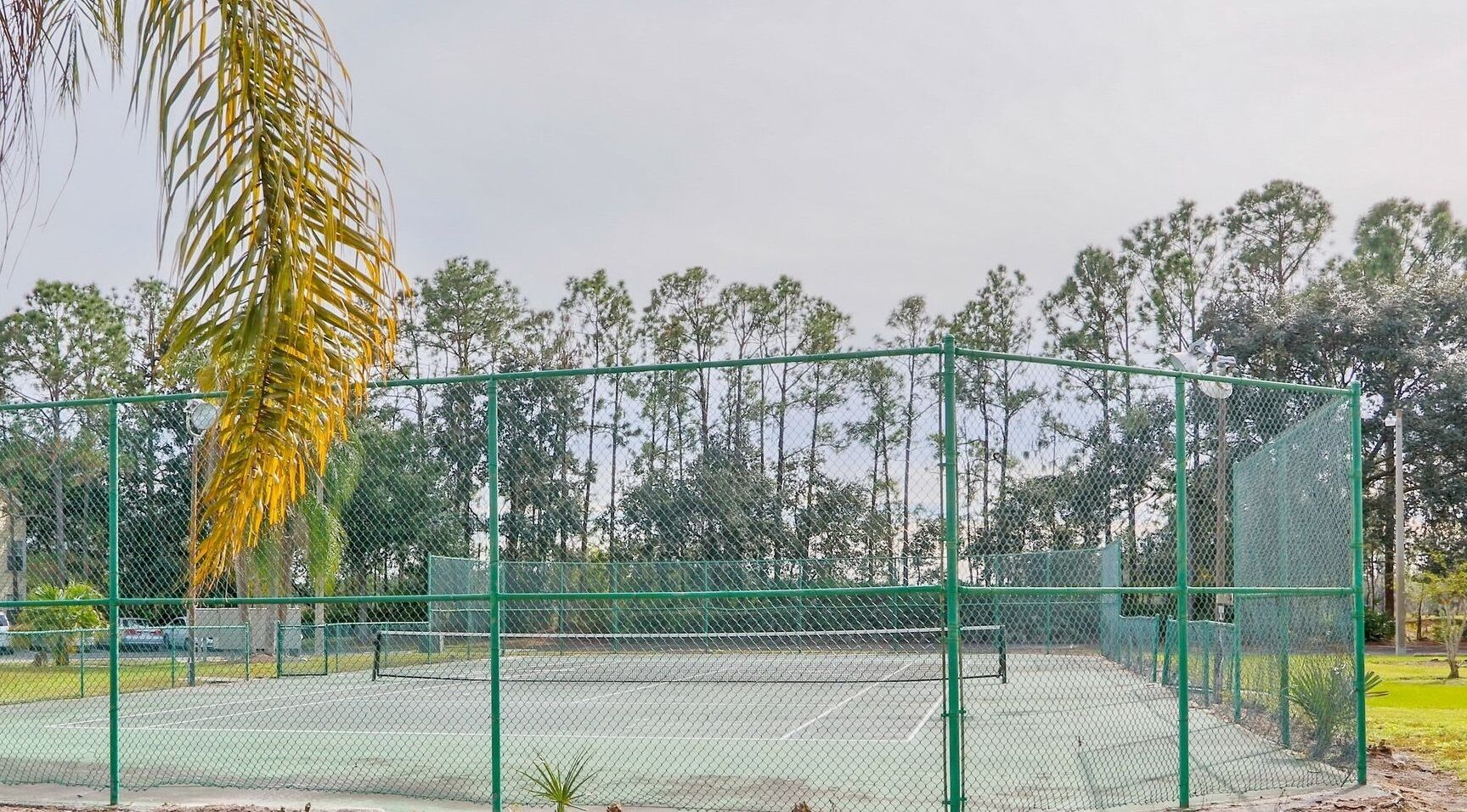 A tennis court enclosed by a green fence, surrounded by trees and a palm tree.
