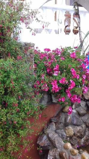 Double Room, 1 Queen Bed, Private Bathroom, Garden View | View from room - Hostal Piedra Andina (Copacabana)