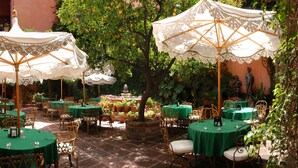 Un café en plein air avec des tables et des chaises, abrité par des parasols en dentelle, entouré de verdure et de plantes en pot.