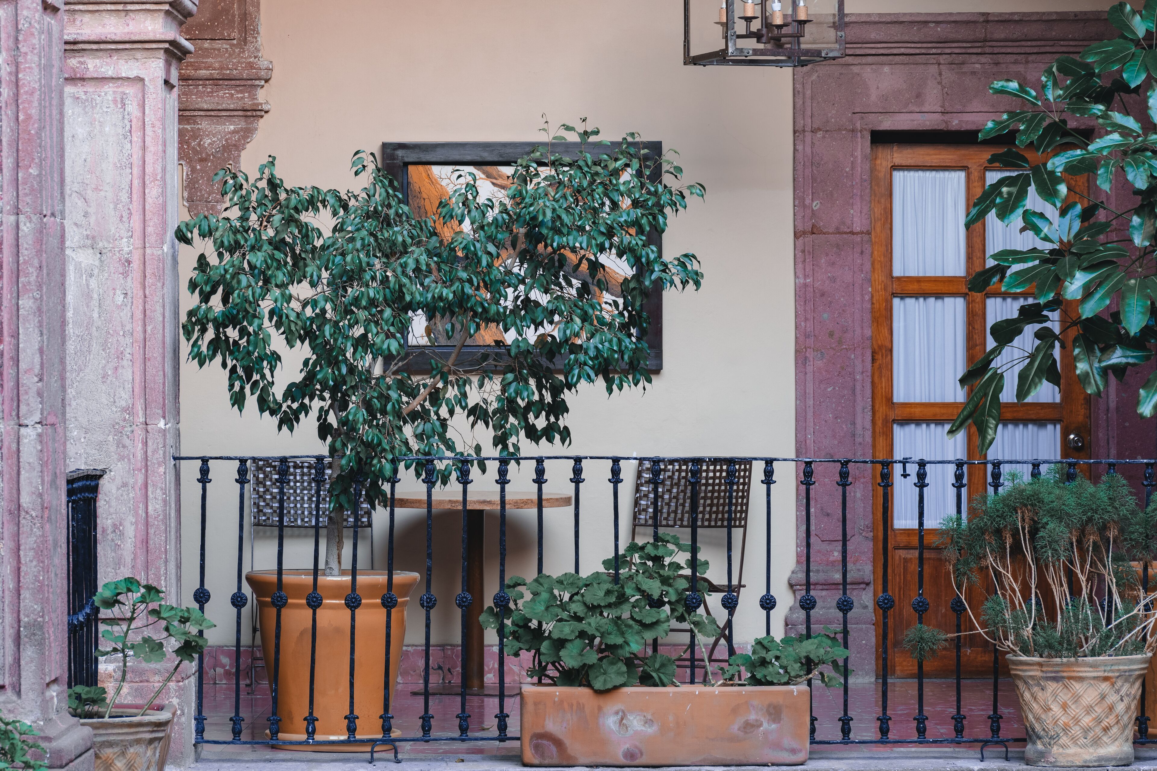 Un patio con una planta en maceta, una puerta de madera y una cerca de metal.