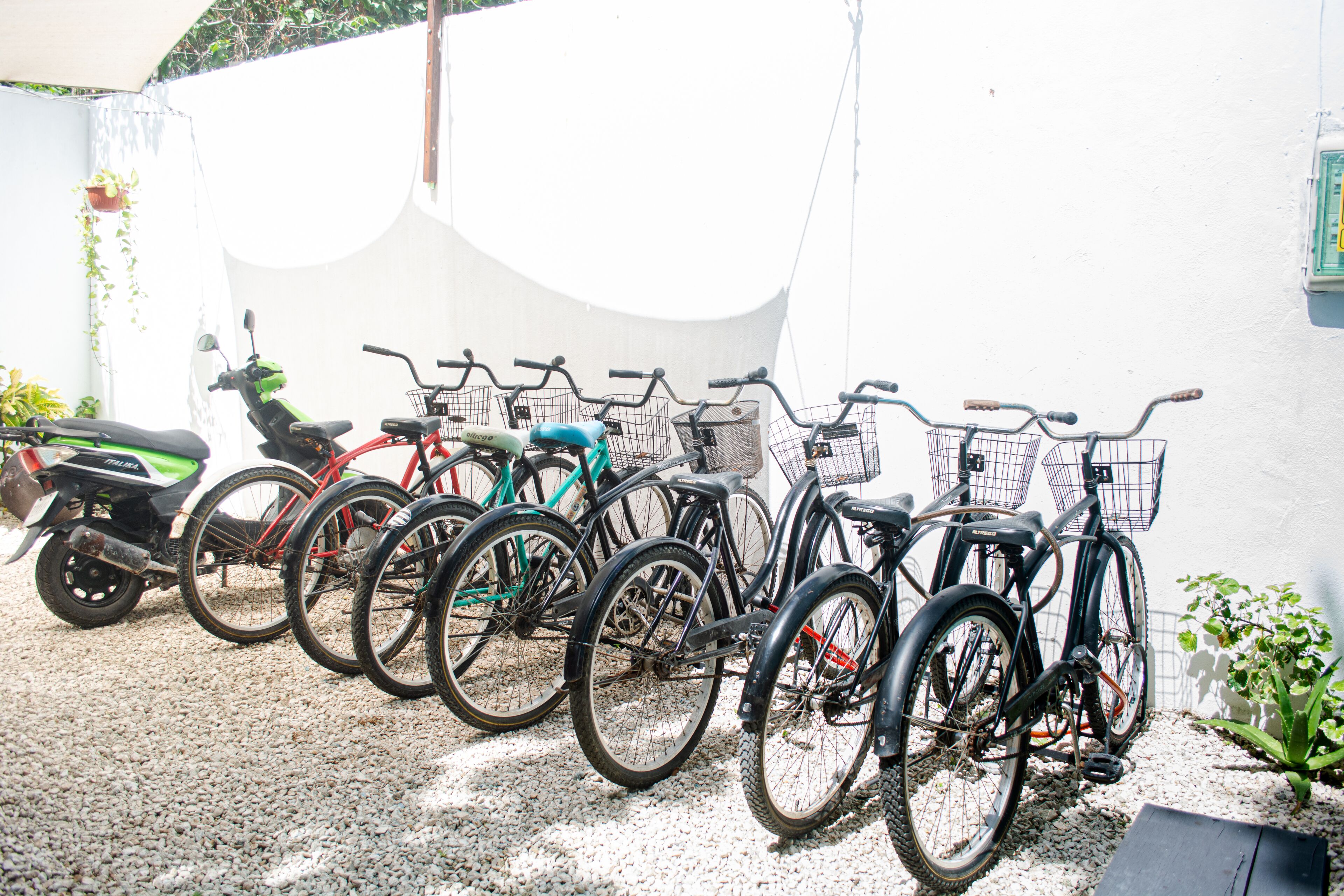 Foto - Hotel Nicte Ha Tulum