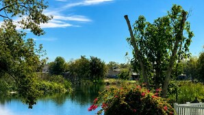 A serene lakeside setting with a well-maintained lawn, a wooden fence, and a variety of trees. - Beautiful bird sanctuary on the lake (Land O' Lakes)