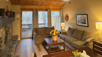 Télévision, cheminée, lecteur de DVD, chaîne hi-fi