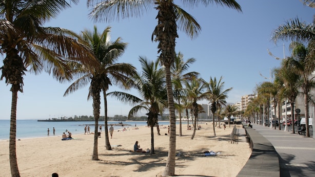 Una playa con palmeras, una orilla de arena y un paseo marítimo.