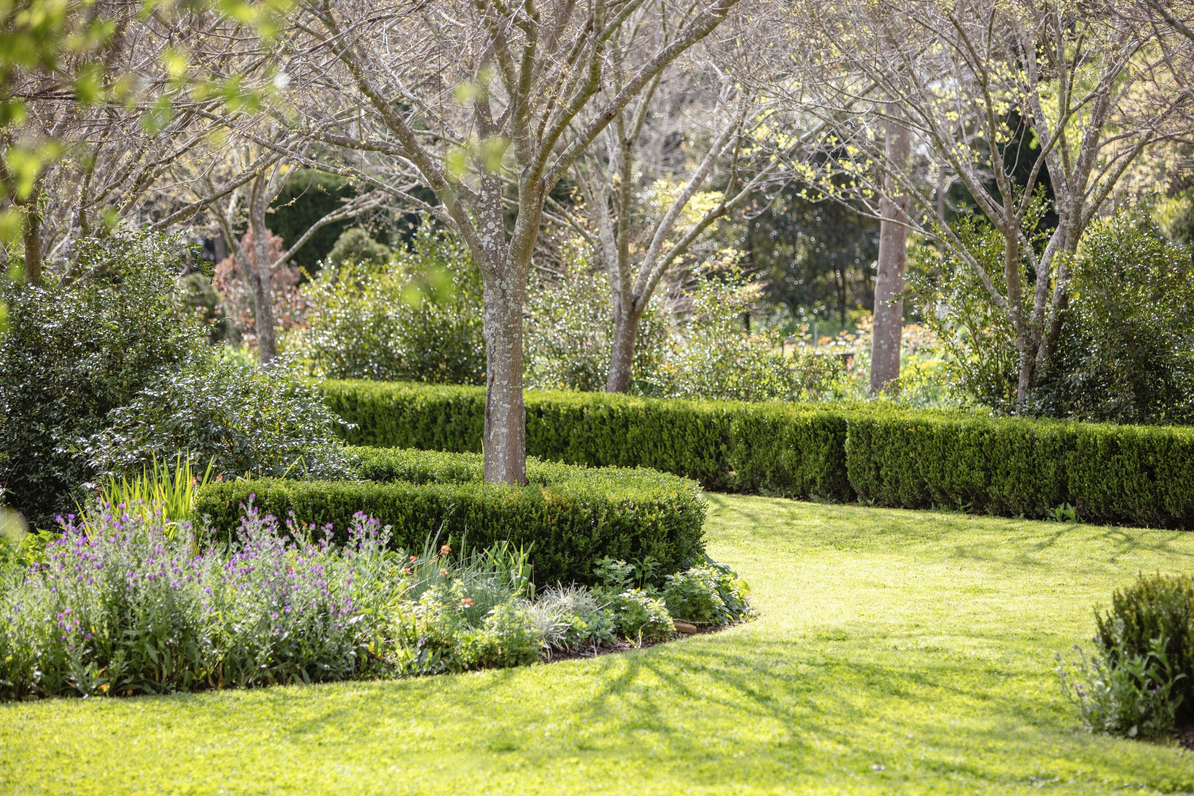 A well-maintained garden with neatly trimmed hedges and a variety of plants.