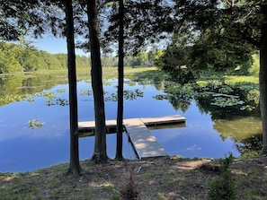 Terrain de l’hébergement