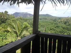 Vista desde la propiedad