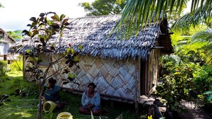 A rustic thatched-roof hut with a woven wall, surrounded by lush greenery and a small garden. - Castle Tree House (Tanna Island)