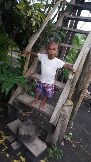 Property grounds - Castle Tree House (Tanna Island)