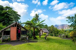 Property grounds - Castle Tree House (Tanna Island)