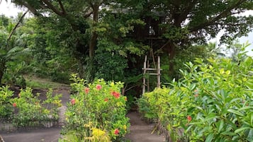 Khuôn viên nơi lưu trú