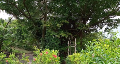 Castle Tree House