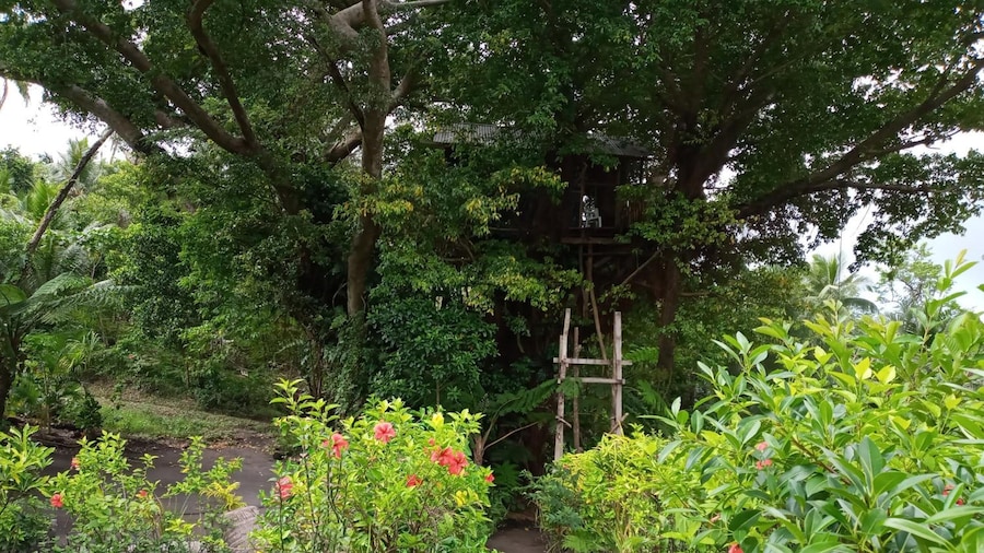 Castle Tree House
