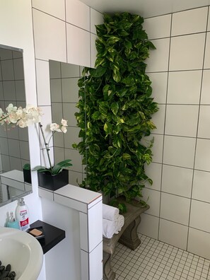 A bathroom with a white sink, a mirror, a potted plant, and a tiled wall.