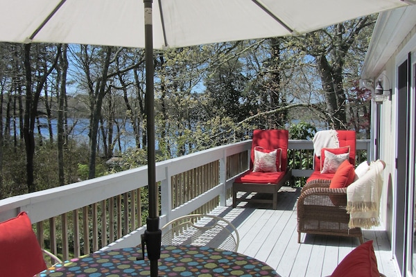 Pottery Barn teak lounge chairs