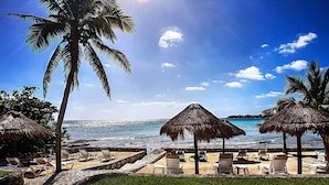 A beach with thatched umbrellas, lounge chairs, and palm trees. - Amazing View Oceanfront with 2 pools, Daily Housekeeping (Akumal)