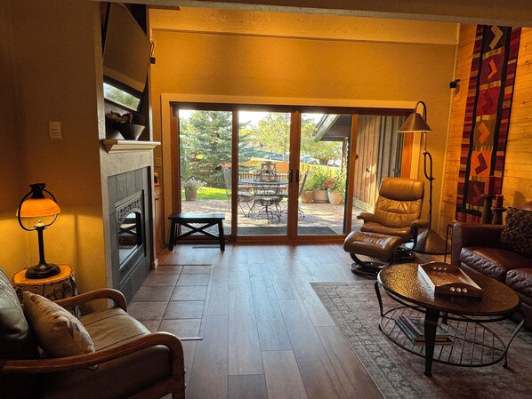 Smart TV, fireplace, DVD player, books